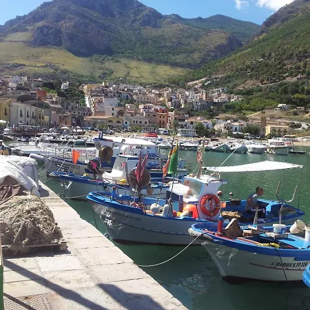 Enny * Alcamo
